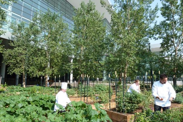 The garden at the Colorado Convention Center