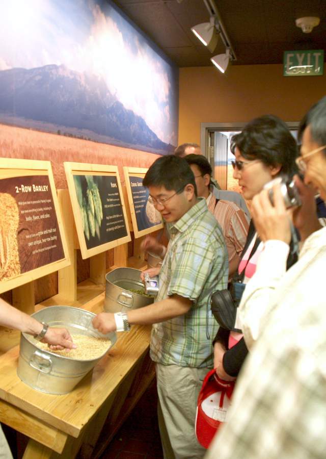 Hands-on learning about beer making at the Coors Brewery