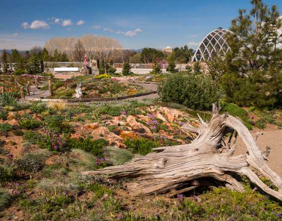 Denver Botanic Gardens in Denver, Colorado