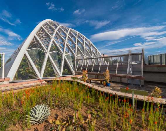 Denver Botanic Gardens in Denver, Colorado