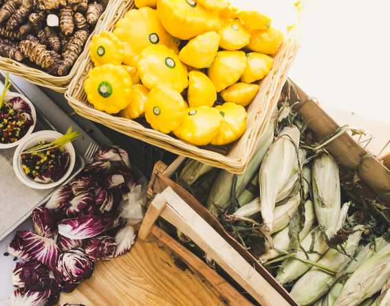 Slow Food Nations - Produce Stand