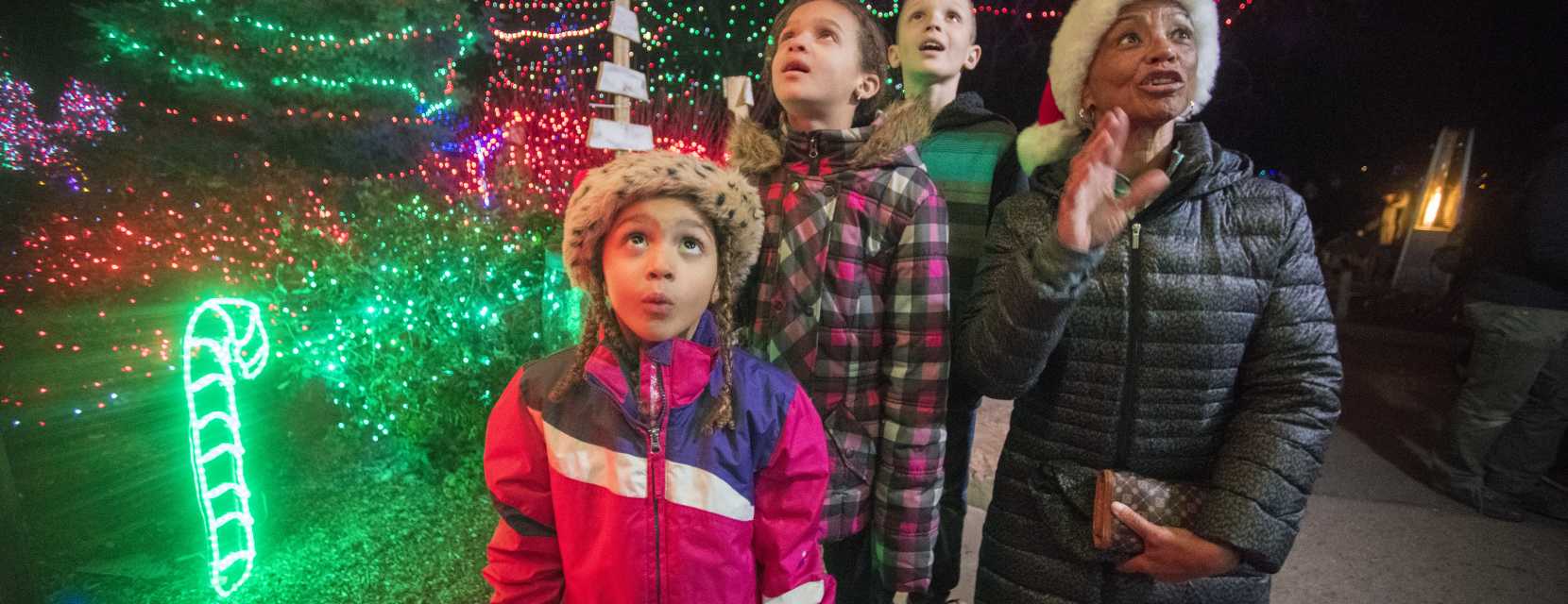 Zoo Lights at Denver Zoo