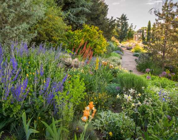 Denver Botanic Gardens in Denver, Colorado