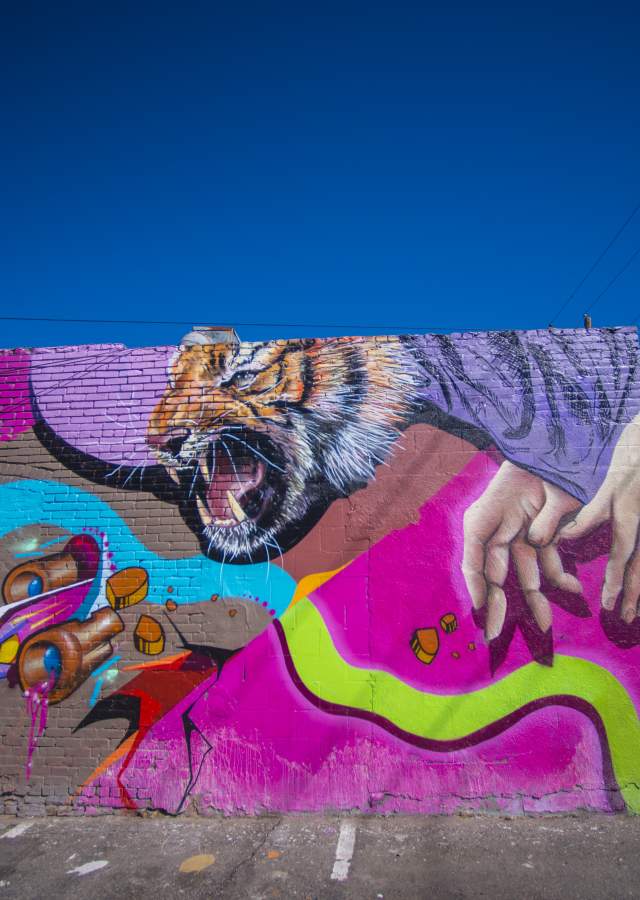 denver-street-art-17