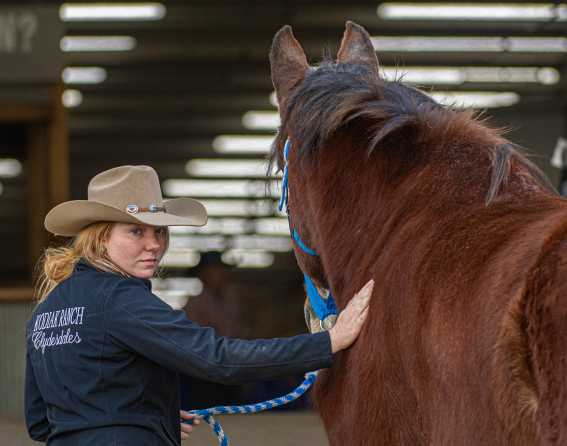 National Western Stock Show & Rodeo in Denver, Colorado