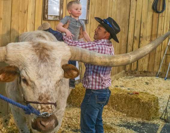 National Western Stock Show & Rodeo in Denver, Colorado