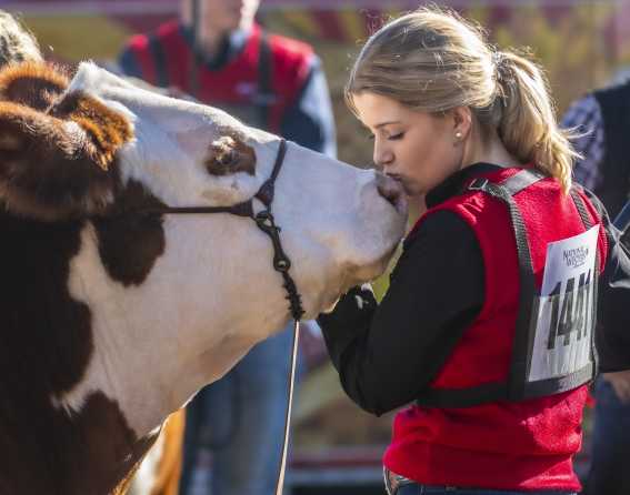 National Western Stock Show & Rodeo in Denver, Colorado