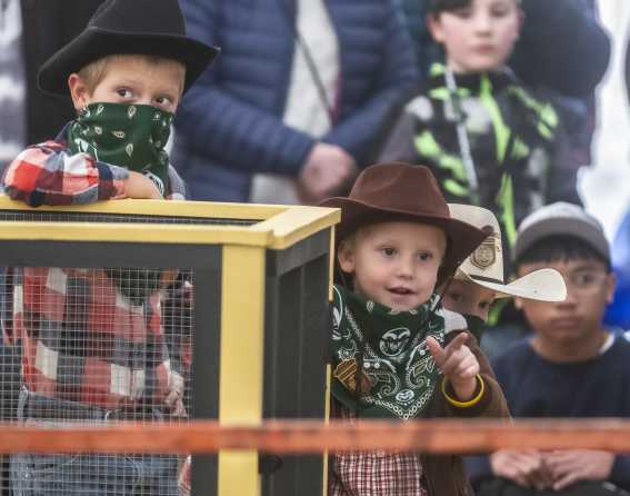 National Western Stock Show & Rodeo in Denver, Colorado