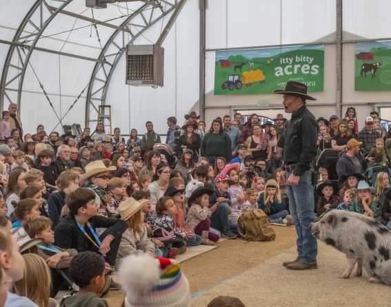 National Western Stock Show & Rodeo in Denver, Colorado