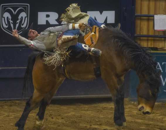 National Western Stock Show & Rodeo in Denver, Colorado