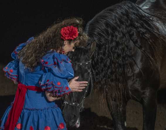 National Western Stock Show & Rodeo in Denver, Colorado