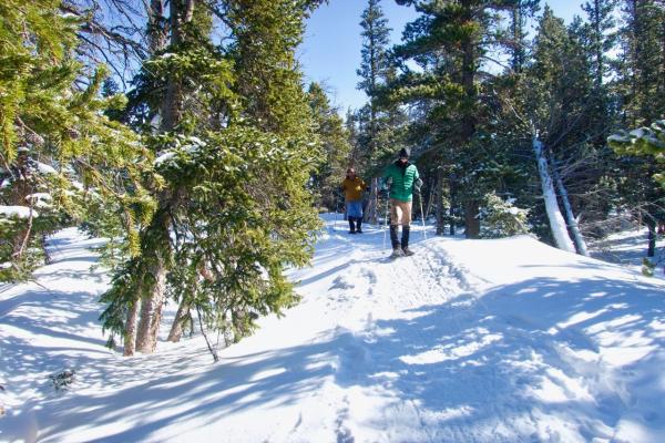 Snowshoeing near Denver