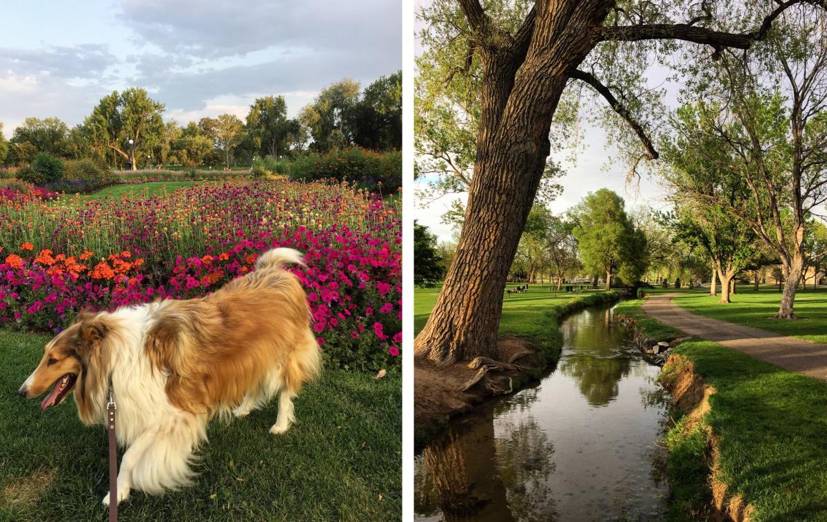 Denver's Washington Park