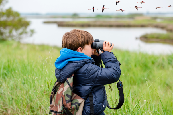 Kid-Friendly Hikes near Denver, Colorado